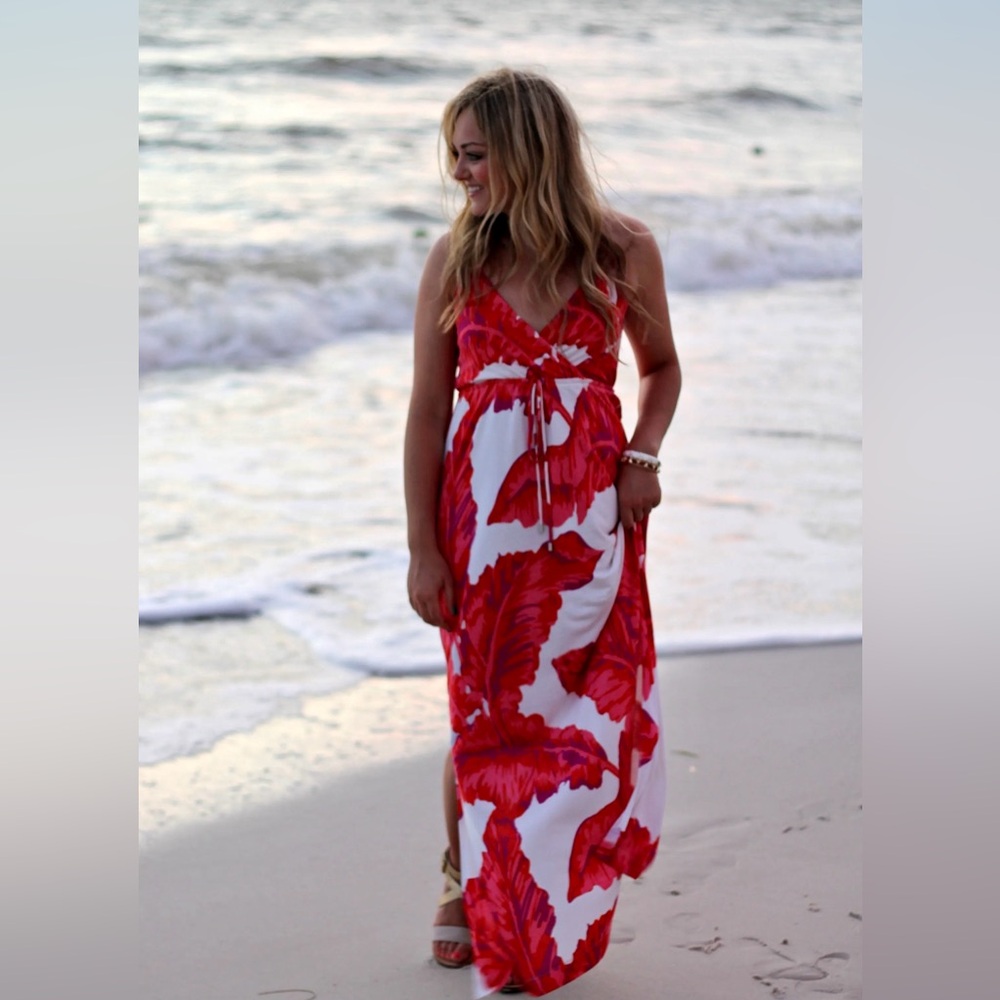 Banana Republic Millie Collection Floral Maxi Dress -S